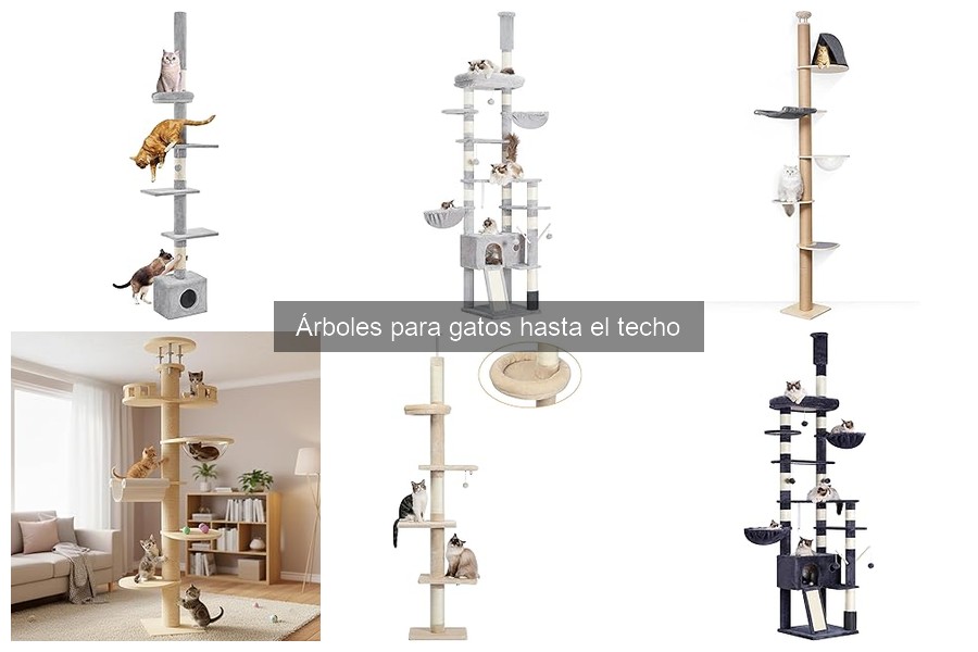 Precios de árboles para gatos hasta el techo: guía completa
