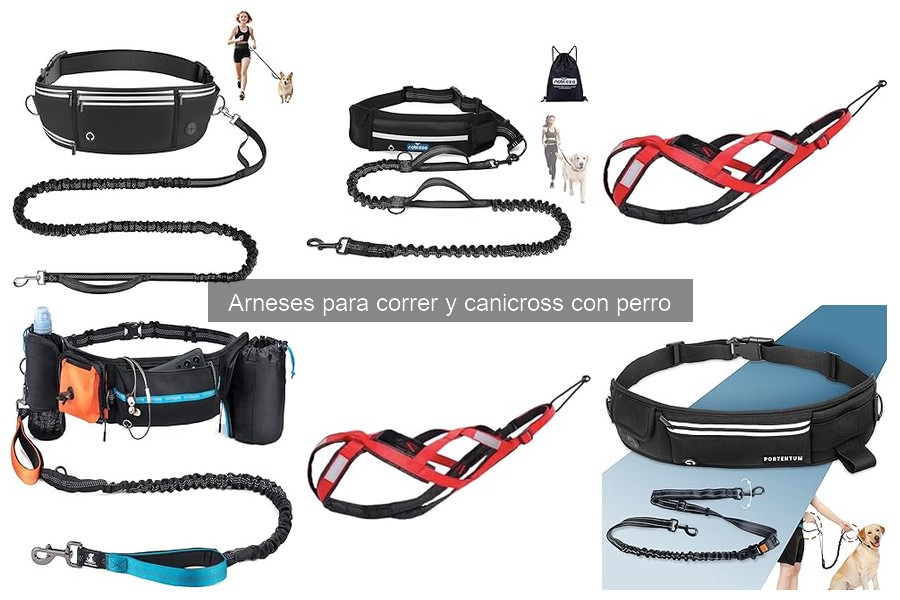 ** Precios de arneses para correr con perros en Amazon