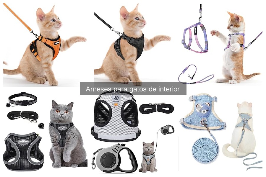 Precios de arneses para gatos de interior: Comparativa y ofertas