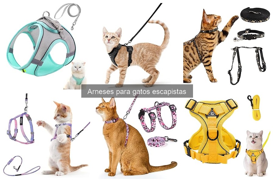 Precios de Arneses para Gatos en Amazon: Ofertas y Recomendaciones