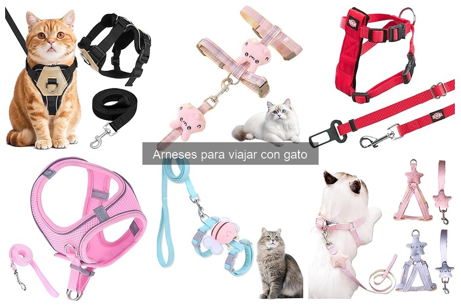 Precios de arneses para viajar con gatos: Guía 2023
