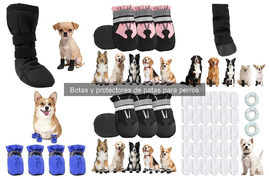 Precios de botas para perros: opciones y recomendaciones