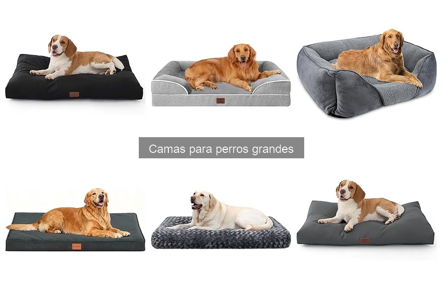 Precios de camas para perros grandes y dónde comprarlas