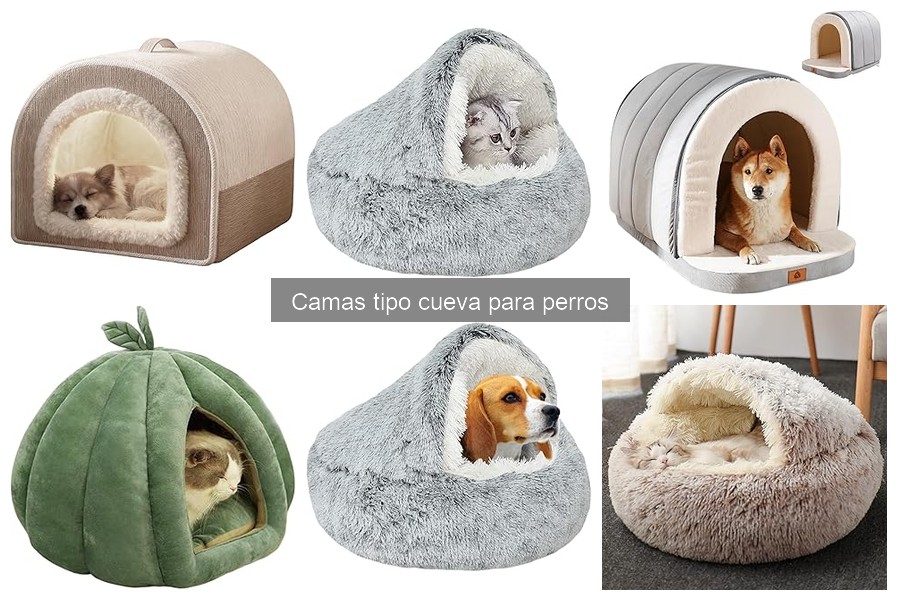 Precios de camas tipo cueva para perros: guía completa