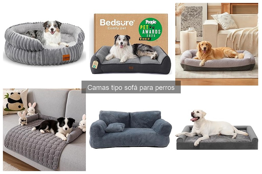 Precios de camas tipo sofá para perros y dónde comprarlas