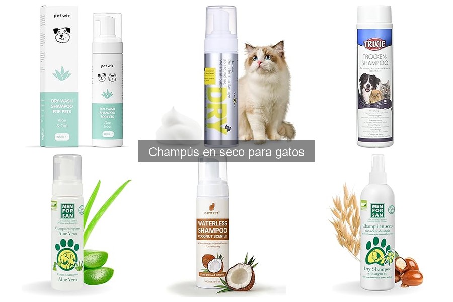 Precios de champús en seco para gatos: ofertas y comparación