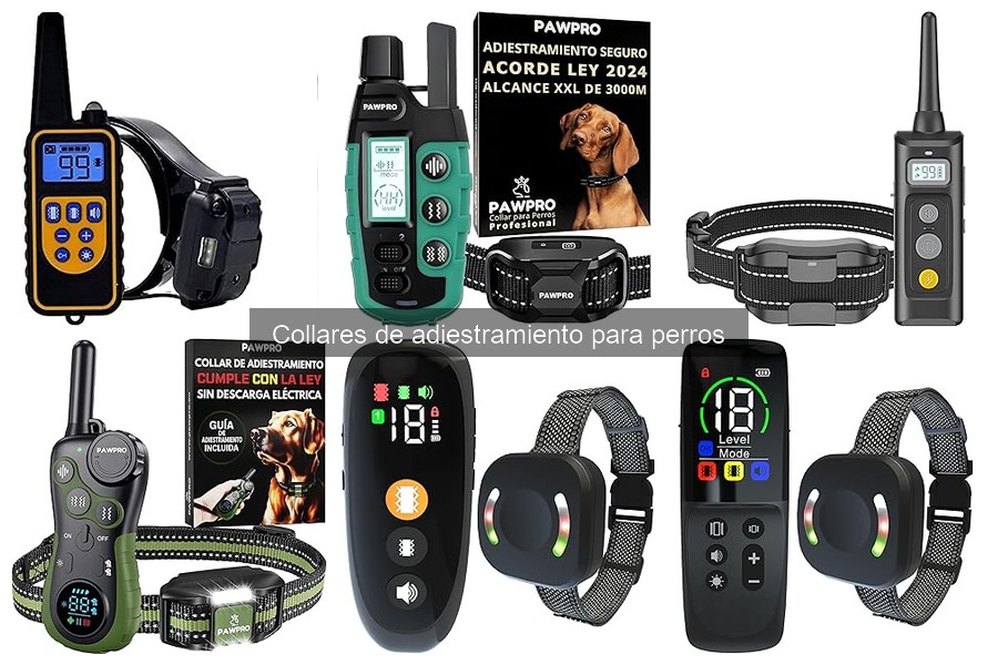 Precios de Collares de Adiestramiento para Perros y Dónde Comprarlos