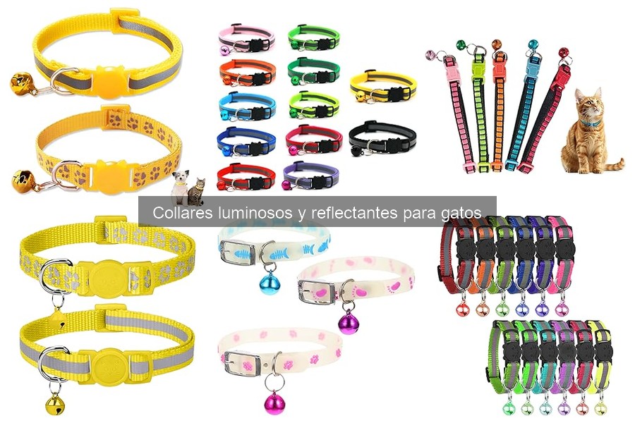 Precios de collares luminosos para gatos: ofertas y descuentos