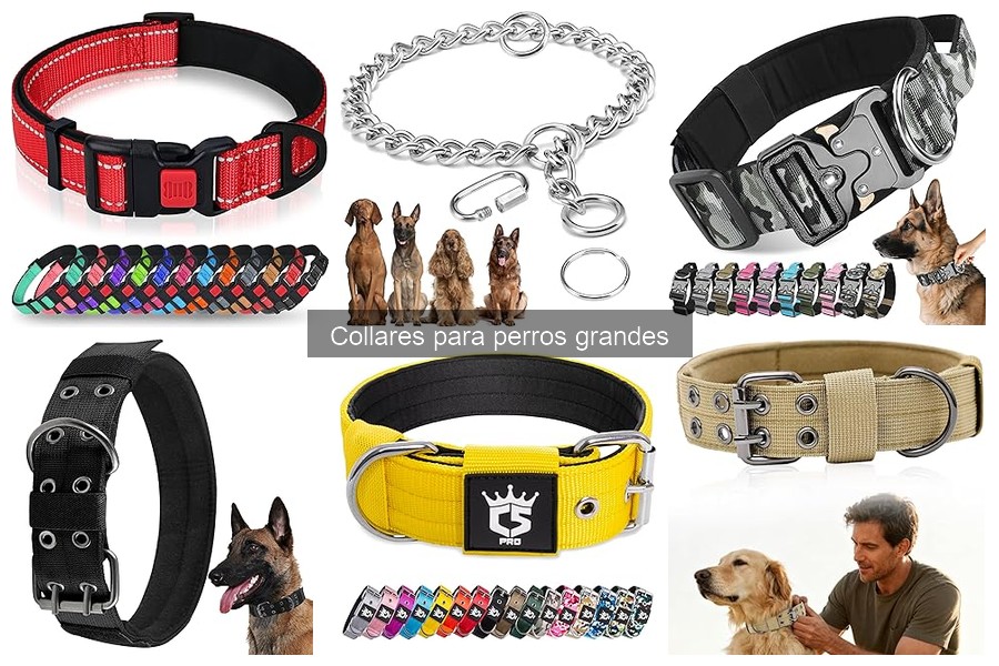Precios de Collares para Perros Grandes: Guía de Costos