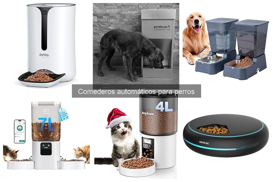 Precios de Comederos Automáticos para Perros: Guía Completa