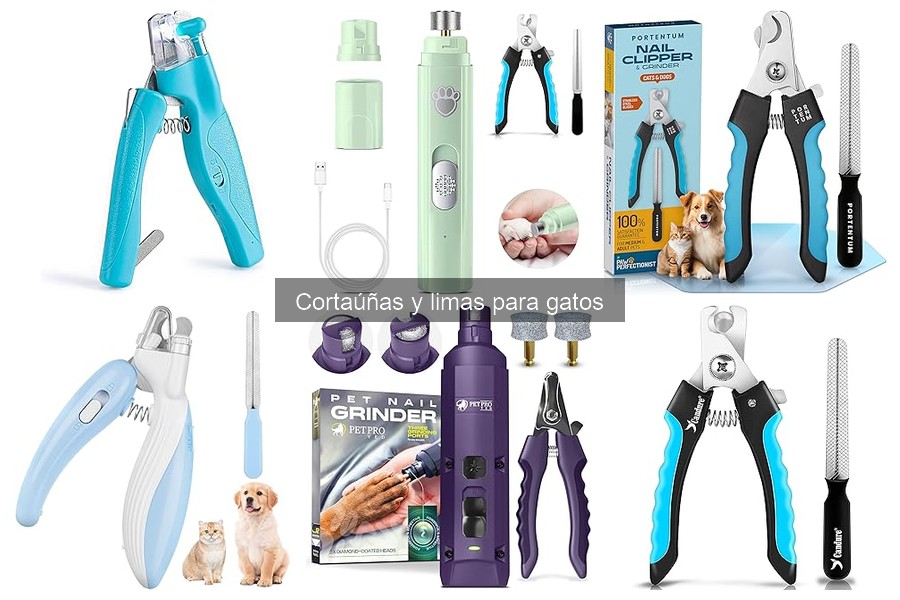 Precios de cortaúñas para gatos: ¿realmente vale la pena?