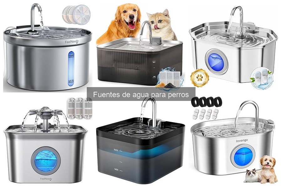 Precios de Fuentes de Agua para Perros: Lo Que Debes Saber