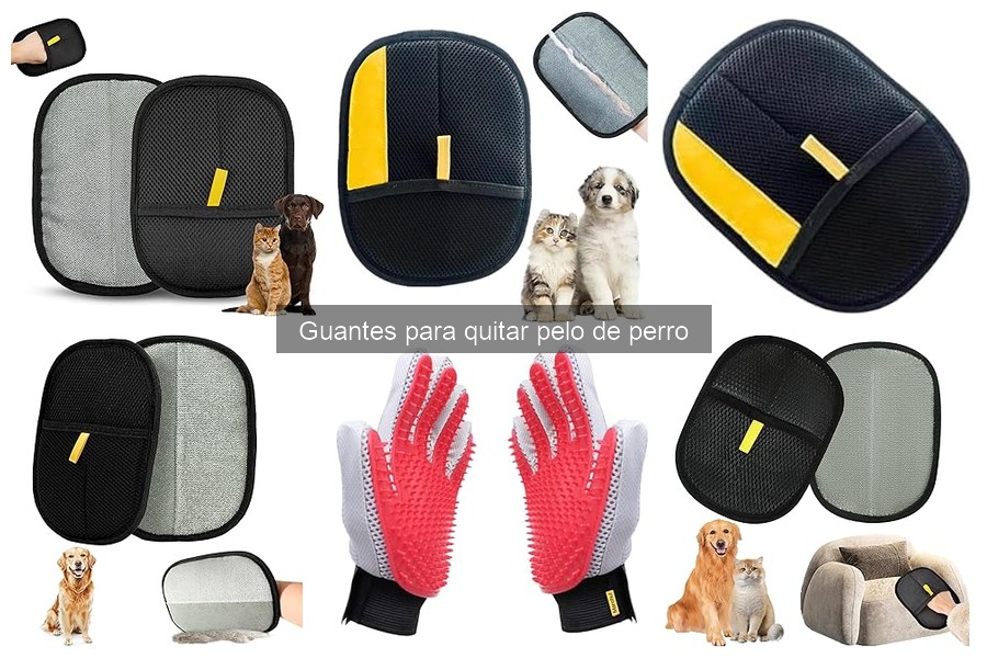 Precios de guantes para quitar pelo de perro: ¡mejores ofertas!
