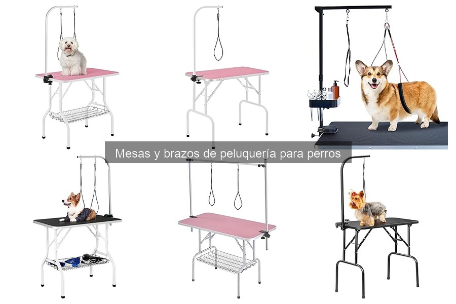 Precios de mesas de peluquería para perros y dónde comprarlas