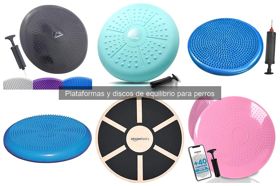 Precios de plataformas y discos de equilibrio para perros
