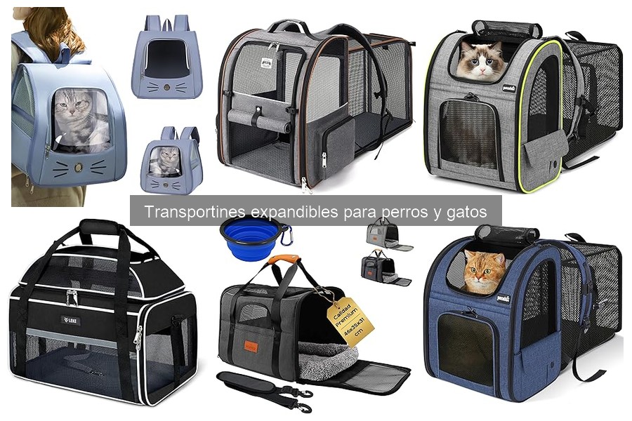 Precios de transportines expandibles para perros y gatos
