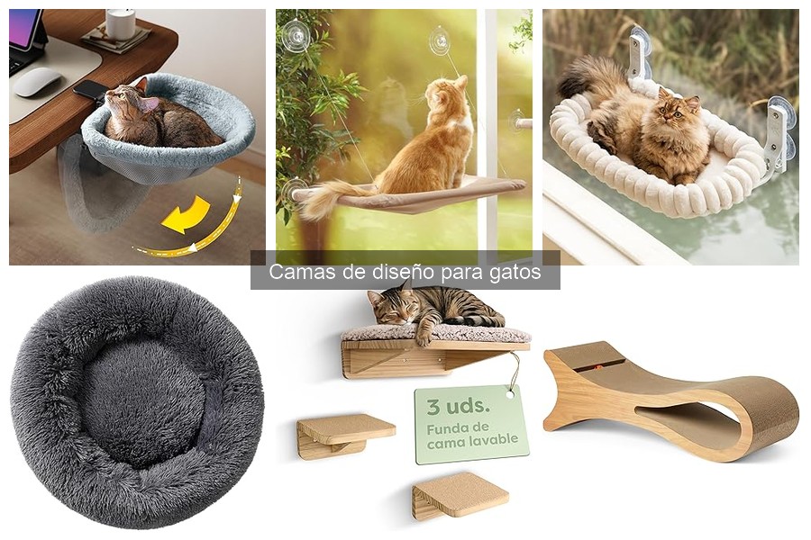 Precios Promedio de Camas de Diseño para Gatos