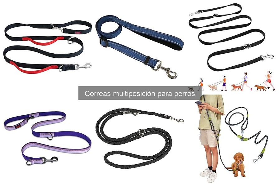 Precios promedio de correas multiposición para perros
