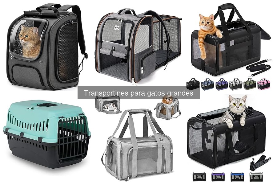 Precios Promedio de Transportines para Gatos Grandes
