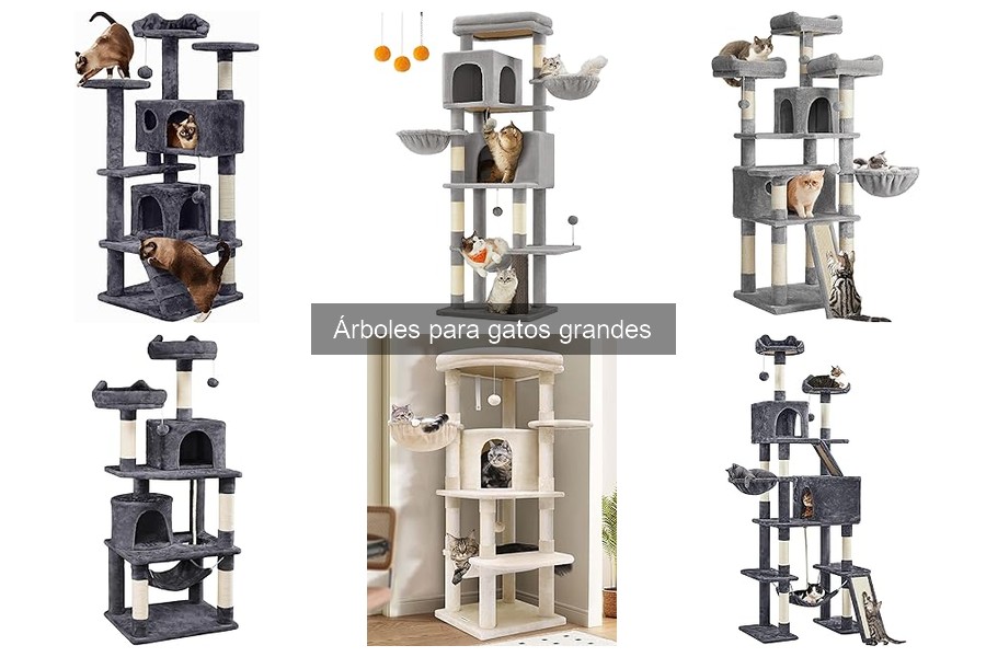 Precios y Dónde Comprar Árboles para Gatos Grandes