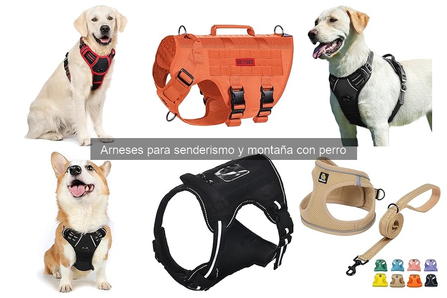 Precios y Dónde Comprar Arnés para Senderismo para Perros