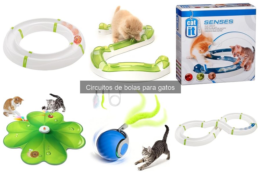Precios y Dónde Comprar Circuitos de Bolas para Gatos