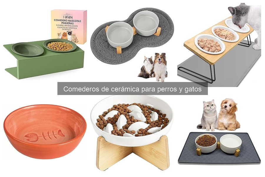 Precios y Dónde Comprar Comederos de Cerámica para Mascotas
