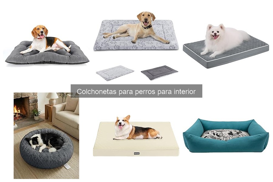Precios y ofertas de colchonetas para perros en 2023