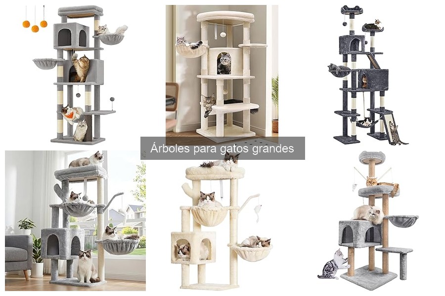 Preguntas frecuentes sobre árboles para gatos grandes