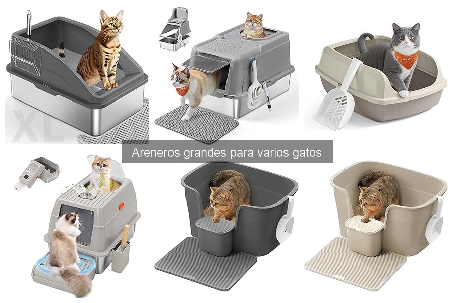 Preguntas Frecuentes sobre Areneros Grandes para Gatos