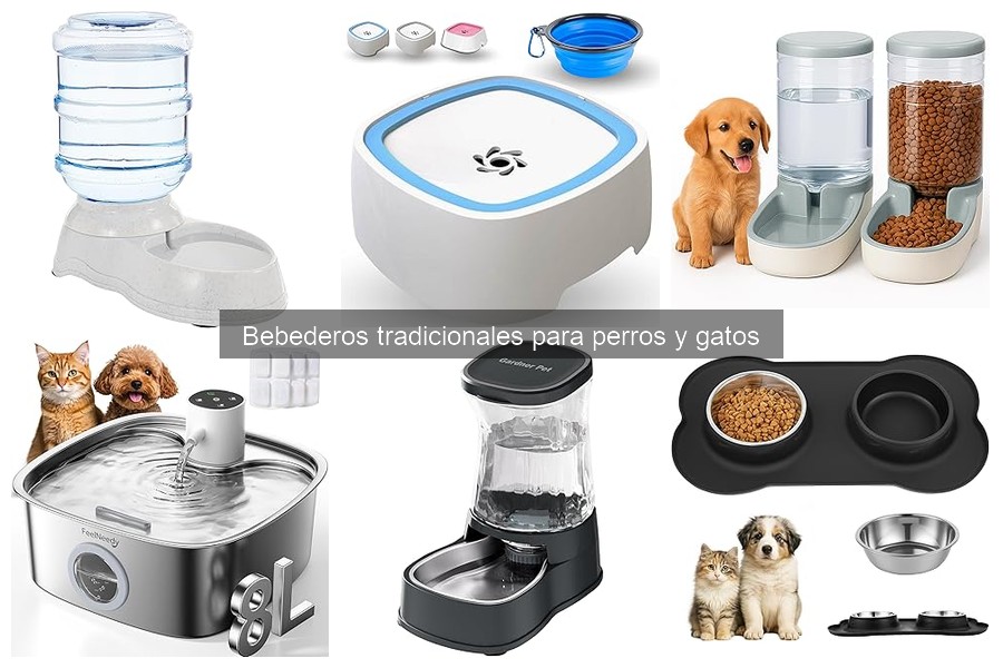 Preguntas Frecuentes sobre Bebederos Tradicionales para Mascotas