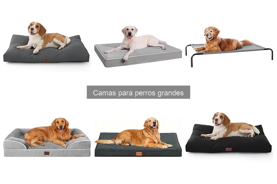 Preguntas frecuentes sobre camas para perros grandes