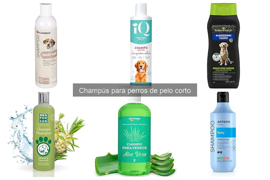Preguntas Frecuentes sobre Champús para Perros de Pelo Corto