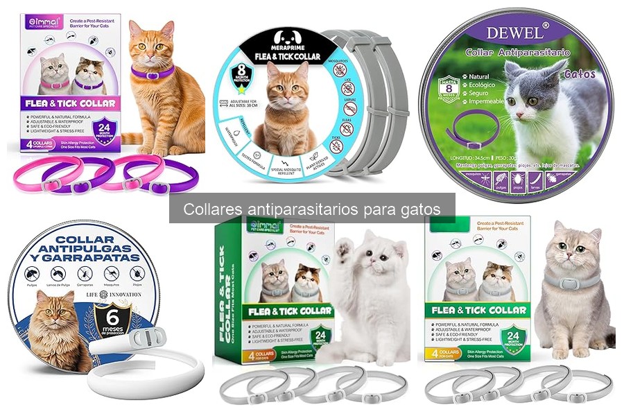 ** Preguntas Frecuentes sobre Collares Antiparasitarios para Gatos