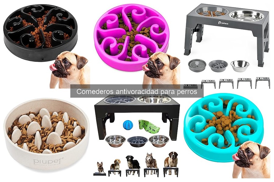 Preguntas Frecuentes sobre Comederos Antivoracidad para Perros