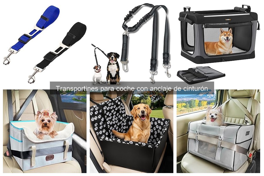 Preguntas Frecuentes sobre Transportines para Coche con Anclaje