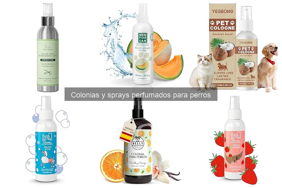 Problemas al usar colonias y sprays perfumados en perros
