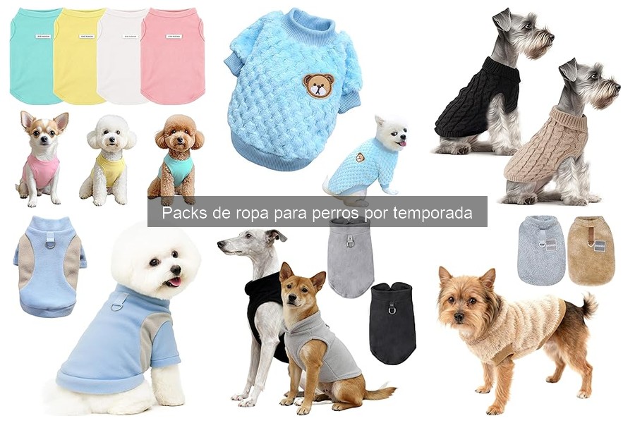 Problemas al vestir a tu perro y sus soluciones prácticas