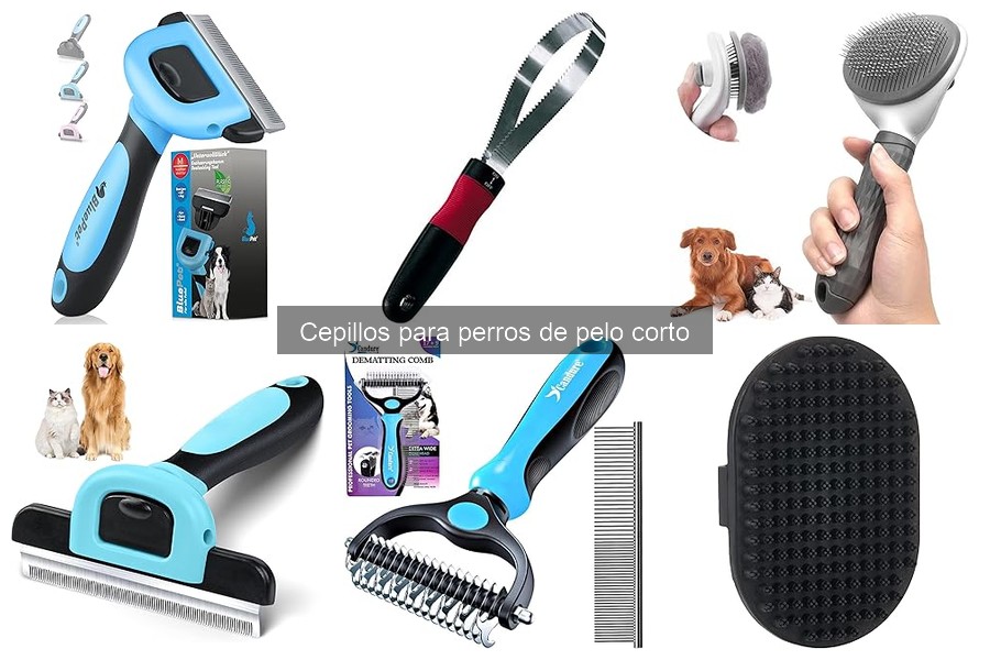 Problemas comunes al cepillar perros de pelo corto y soluciones