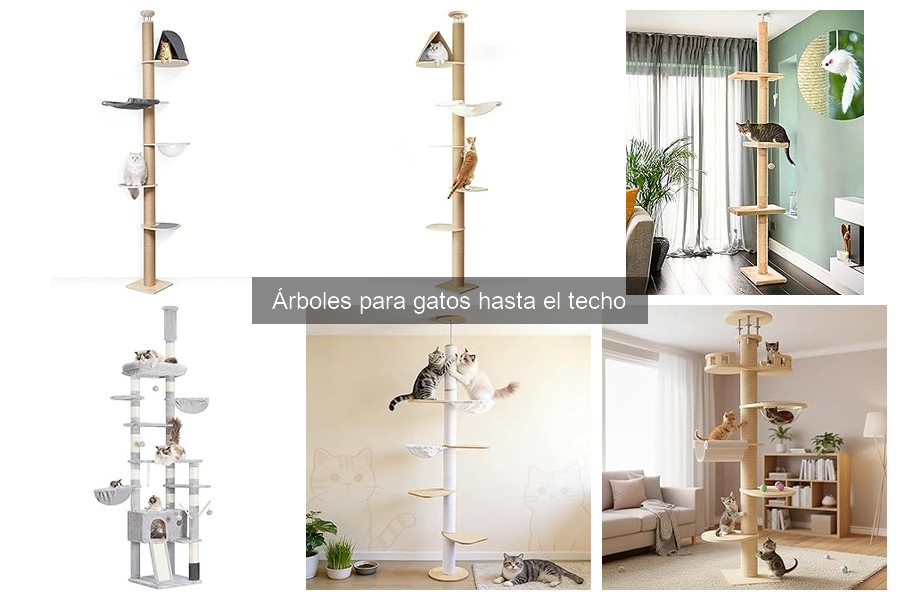 Problemas Comunes al Usar Árboles para Gatos hasta el Techo
