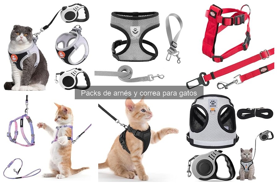Problemas comunes al usar arnés y correa para gatos