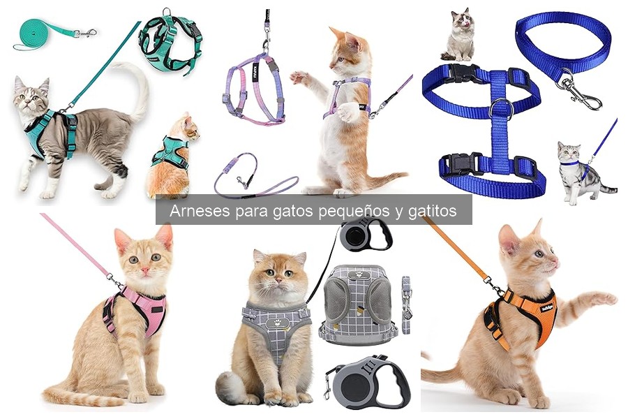 Problemas comunes al usar arneses para gatos y soluciones