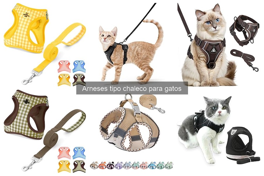 Problemas comunes al usar arneses tipo chaleco con gatos