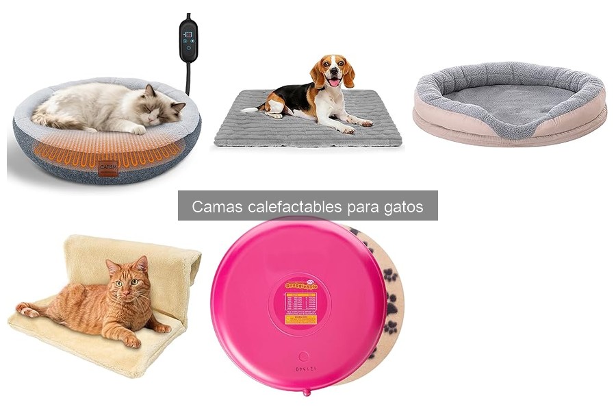 Problemas comunes al usar camas calefactables para gatos