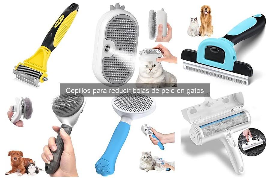 Problemas Comunes al Usar Cepillos para Gatos y Soluciones