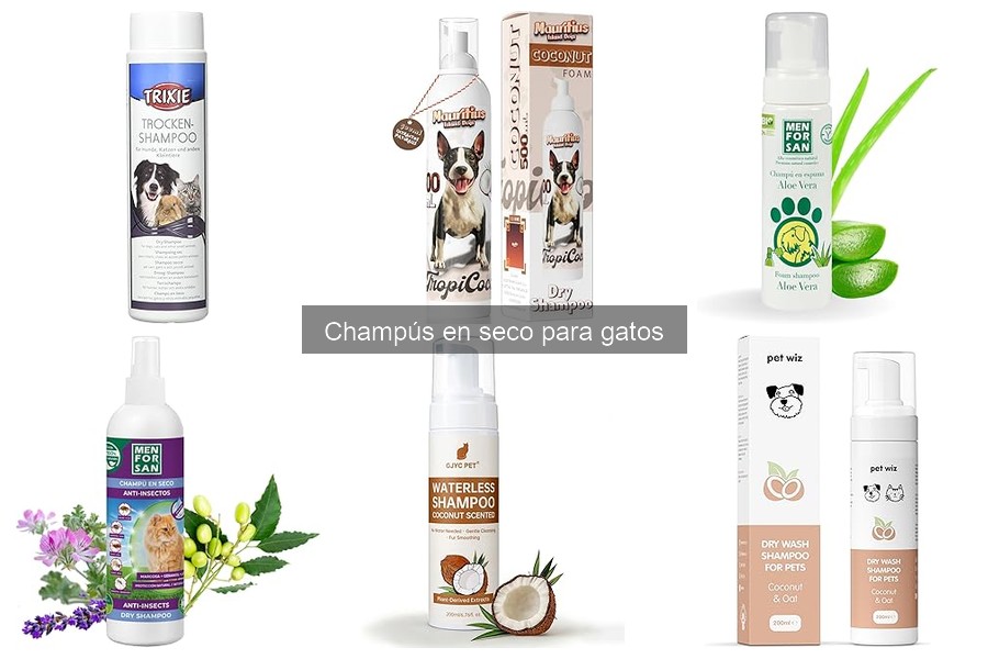Problemas Comunes al Usar Champú en Seco para Gatos