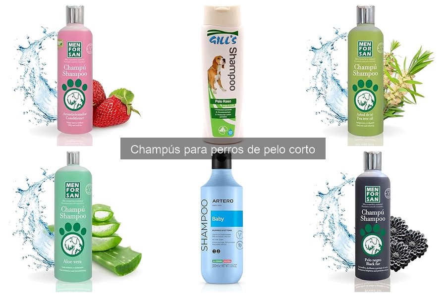 Problemas comunes al usar champús para perros de pelo corto