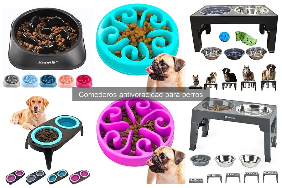 Problemas comunes al usar comederos antivoracidad para perros
