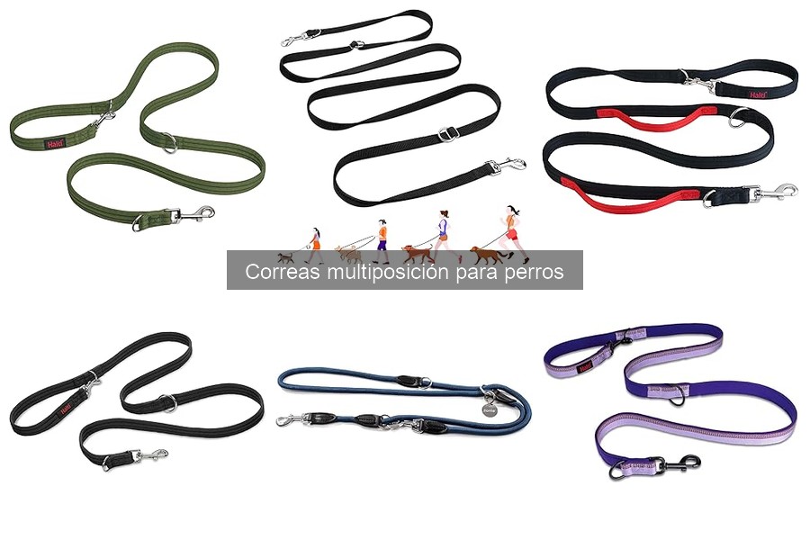 Problemas comunes al usar correas multiposición para perros
