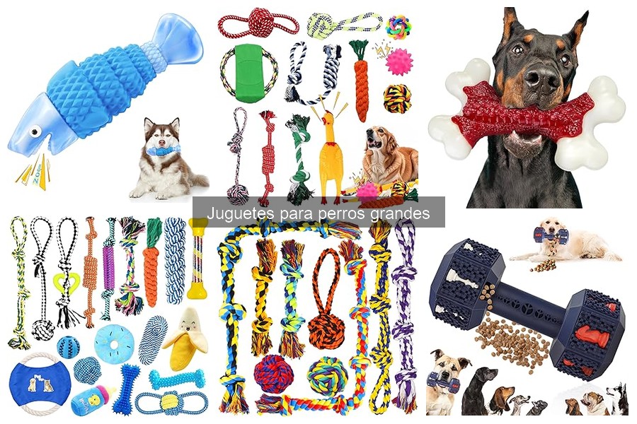 Problemas comunes al usar juguetes para perros grandes